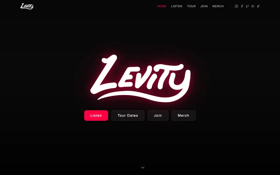 Levity artist website design by Artist Influence